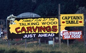 1987 SD Black Hills 156