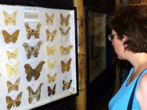 May Museum@Penrose 2002jul24 P&LH 007