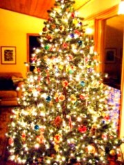 bright lights 5595-1