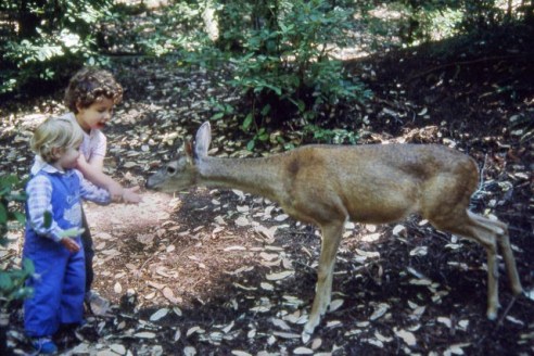 1986-05 Camping @Big Basin T&K with deer