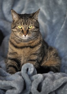 Zoe_ErieCO_20091219_LAH_5746x7