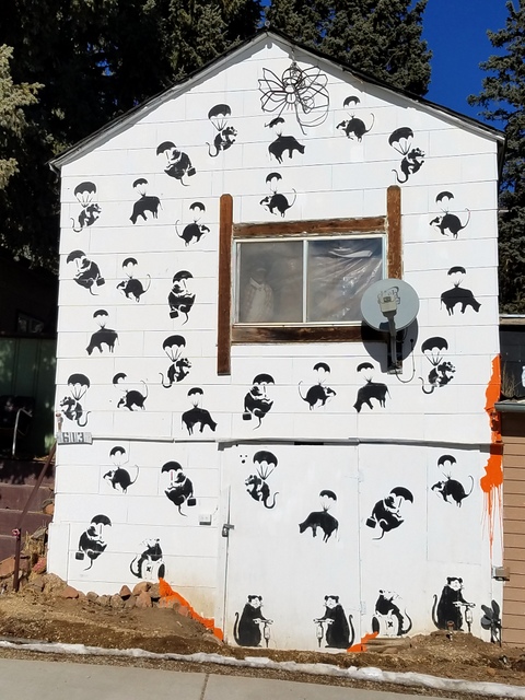 1-2019-01-26 12.31.49