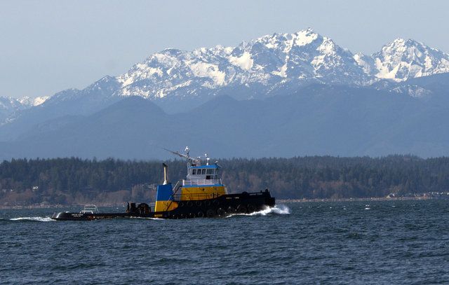 GoldenGardensPark-WA_LAH_2774